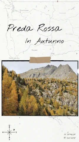 Un bosco dai colori autunnali sul giallo e arancione e la cima di una montagna come sfondo.