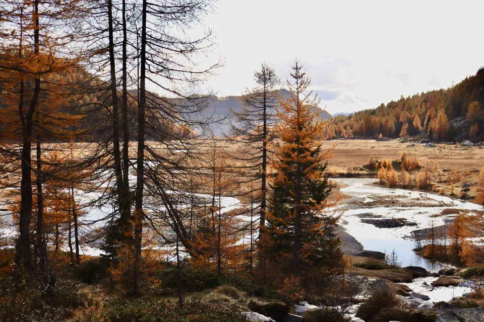 Preda rossa in Val Masino, una vallata dai colori autunnali 