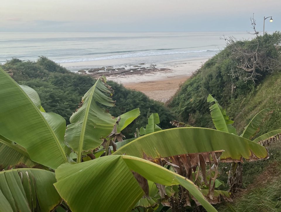 "una meravigliosa spiaggia nella costa nord della Spagna in Cantabria"