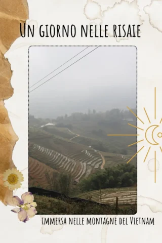 risaie a Sapa